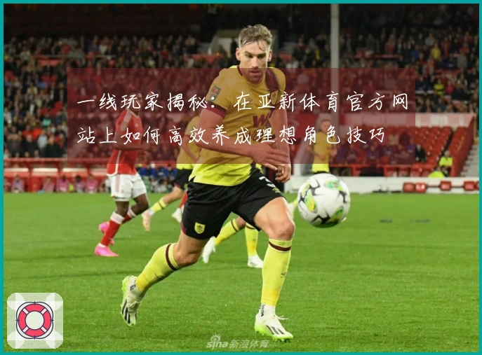 一线玩家揭秘：在亚新体育官方网站上如何高效养成理想角色技巧