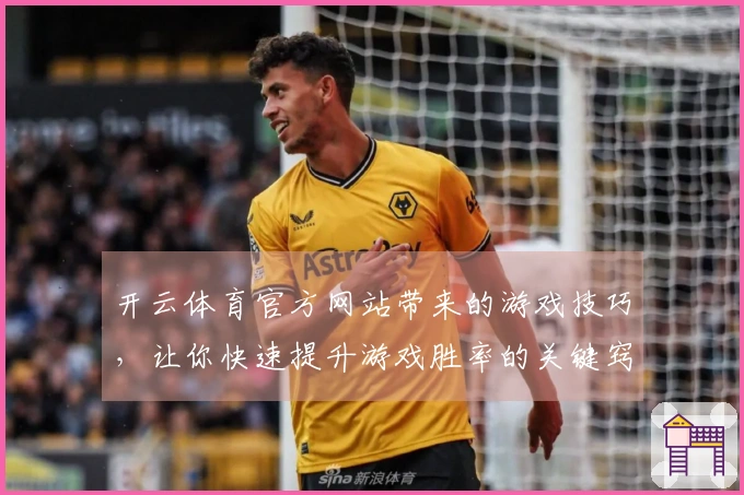 开云体育官方网站带来的游戏技巧，让你快速提升游戏胜率的关键窍门
